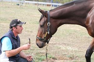 Lot 200 settles in down at Barwon Heads